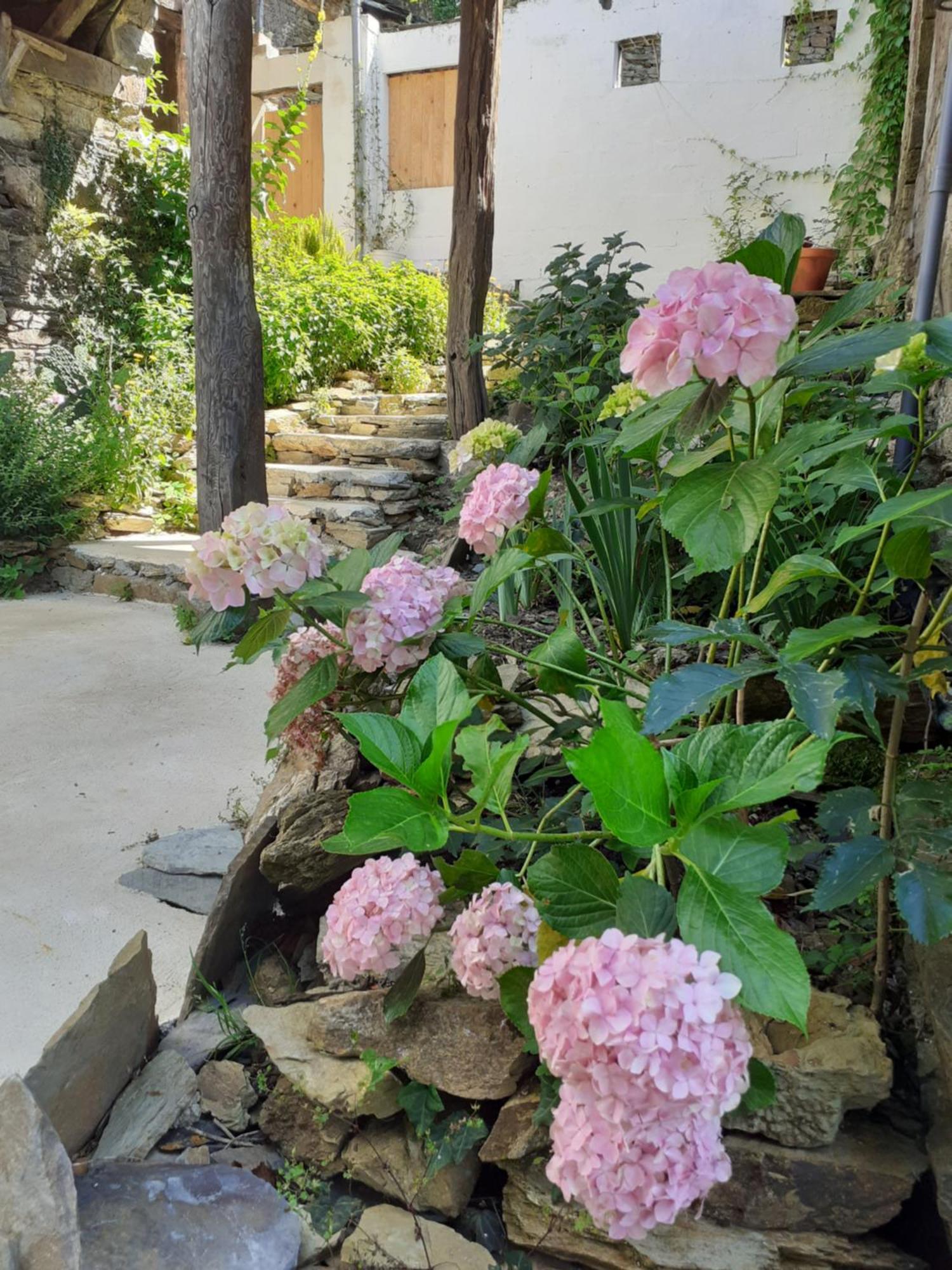Sons Do Eo Apartamentos Turisticos Балейра Экстерьер фото